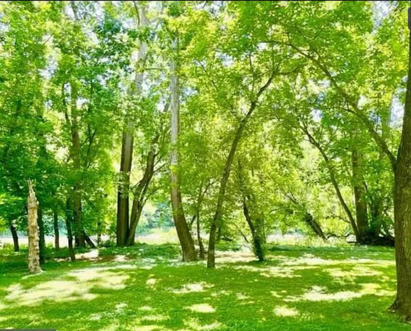 Cozy Cabin W/ Indoor Fireplace & Tranquil Views Luray Εξωτερικό φωτογραφία